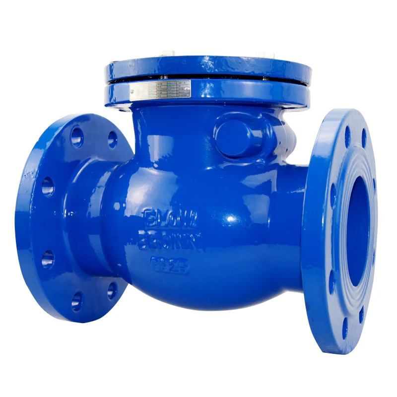 Check Valve