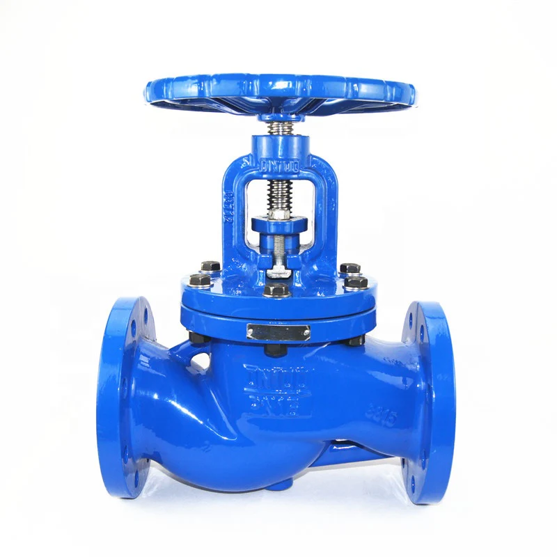 Globe Valve